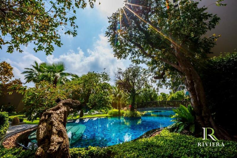 The Riviera Jomtien : เดอะ ริเวียร่า จอมเทียน, ชลบุรี, ถนนพัทยาสาย 2, หนองปรือ, บางละมุง, ชลบุรี, 34 ตร.ม., คอนโด ขาย, โดย Megan Goodwin, 500138320 - DDproperty.com