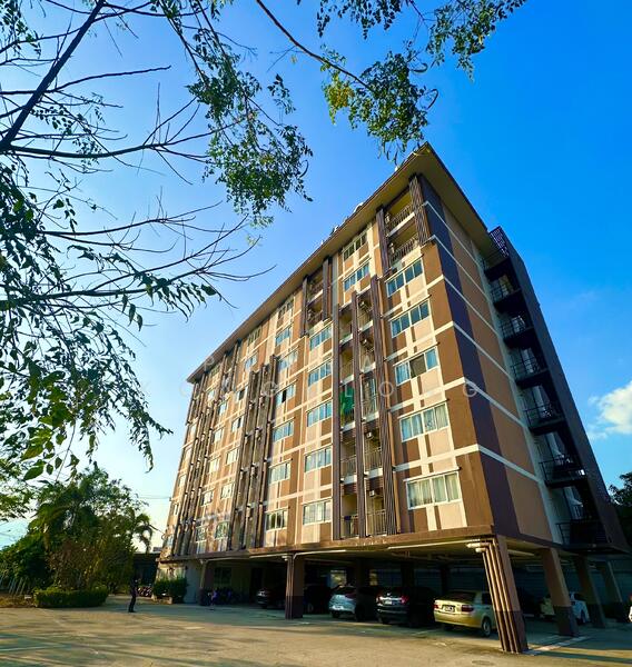 ขายดาวน์ - สันผีเสื้อ, เชียงใหม่