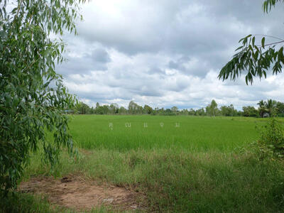ขาย - นอกโครงการสกลนคร, สกลนคร