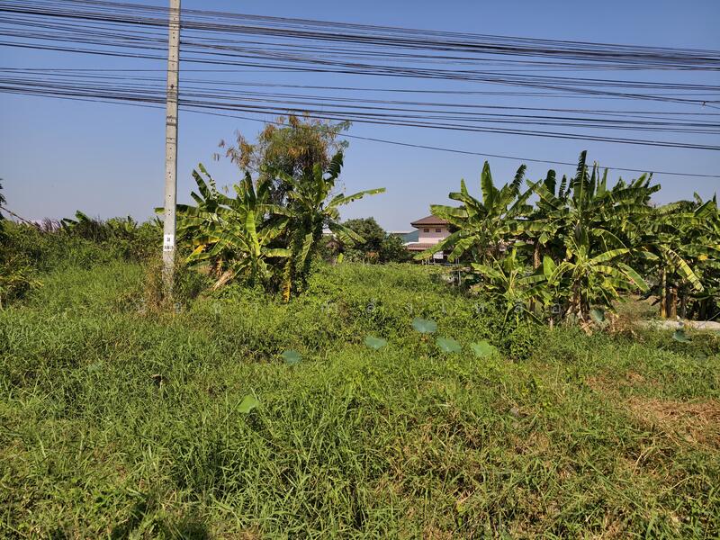 ขายที่ดิน ถนนสุวินทวงศ์ 8-0-72 ไร่ โซน หนองจอก ลาดกระบัง, กรุงเทพ, สุวินทวงศ์, ลำผักชี, หนองจอก, กรุงเทพ, 13,088 ตร.ม., ที่ดิน ขาย, โดย นัชชา กำลังเหลือ, 500138688 - DDproperty.com