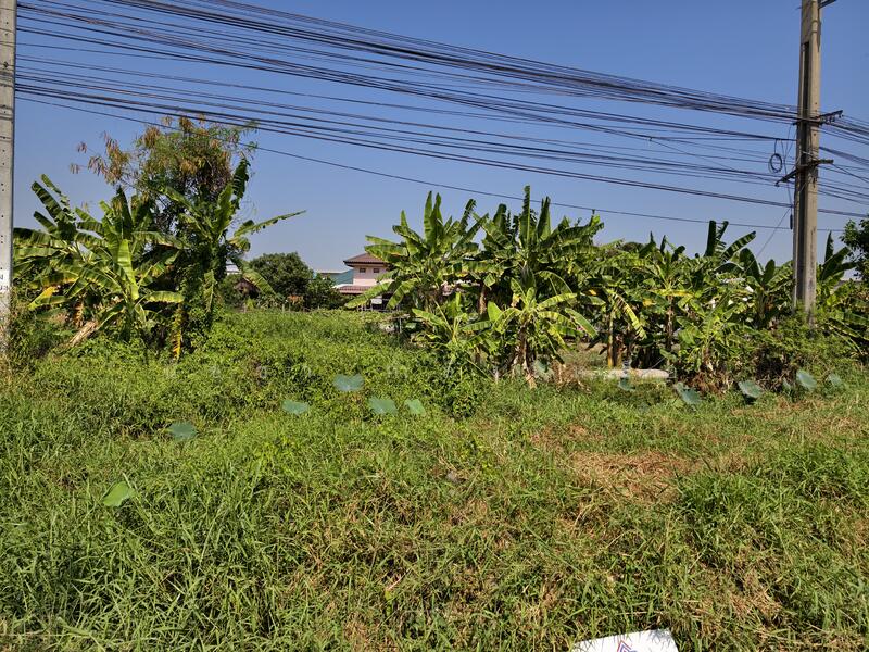 ขายที่ดิน ถนนสุวินทวงศ์ 8-0-72 ไร่ โซน หนองจอก ลาดกระบัง, กรุงเทพ, สุวินทวงศ์, ลำผักชี, หนองจอก, กรุงเทพ, 13,088 ตร.ม., ที่ดิน ขาย, โดย นัชชา กำลังเหลือ, 500138688 - DDproperty.com