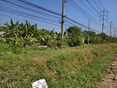 ขาย - ขายที่ดิน ถนนสุวินทวงศ์ 8-0-72 ไร่ โซน หนองจอก ลาดกระบัง, กรุงเทพ