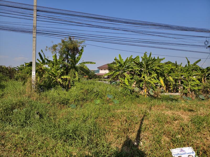 ขายที่ดิน ถนนสุวินทวงศ์ 8-0-72 ไร่ โซน หนองจอก ลาดกระบัง, กรุงเทพ, สุวินทวงศ์, ลำผักชี, หนองจอก, กรุงเทพ, 13,088 ตร.ม., ที่ดิน ขาย, โดย นัชชา กำลังเหลือ, 500138688 - DDproperty.com