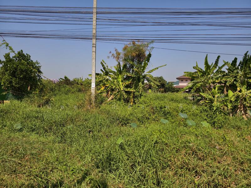 ขายที่ดิน ถนนสุวินทวงศ์ 8-0-72 ไร่ โซน หนองจอก ลาดกระบัง, กรุงเทพ, สุวินทวงศ์, ลำผักชี, หนองจอก, กรุงเทพ, 13,088 ตร.ม., ที่ดิน ขาย, โดย นัชชา กำลังเหลือ, 500138688 - DDproperty.com