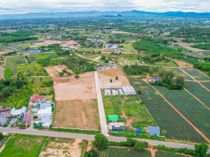 ขาย - วังก์พง, ประจวบคีรีขันธ์