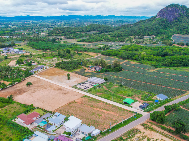 ขาย - วังก์พง, ประจวบคีรีขันธ์