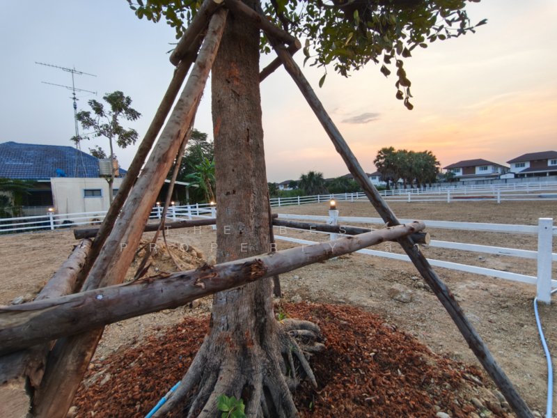 ขาย - ที่ดินเมืองนครปฐม นครปฐม, นครปฐม