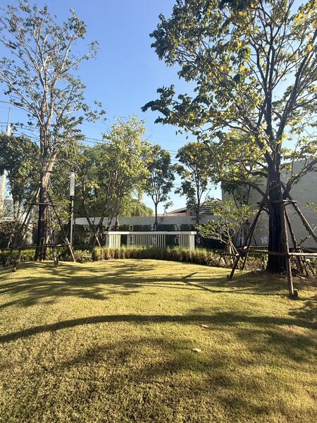 Vimarno Sukhumvit-Bearing, Bangkok, Bearing 39 Aly, Bang Na, Bangkok, 3 Bedrooms, 275 sqm, Townhouse For Rent, by พร้อมพงษ์ วงศ์วนิชกังวาฬ, 500138840 - DDproperty.com