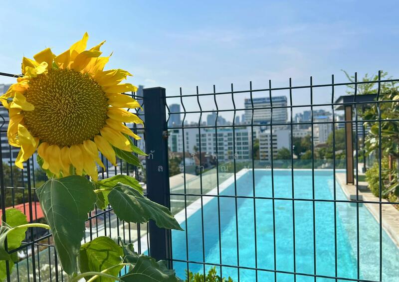 The Remarkable Soonvijai 2 : เดอะ รีมาร์คเอเบิ้ล ศูนย์วิจัย 2, กรุงเทพ, ซอยเพชรบุรี 47 แยก 2 ถนนเพชรบุรี, บางกะปิ, ห้วยขวาง, กรุงเทพ, 41 ตร.ม., คอนโด ขาย, โดย ภัทรพล ศรีกัลยาณบุตร, 500139022 - DDproperty.com