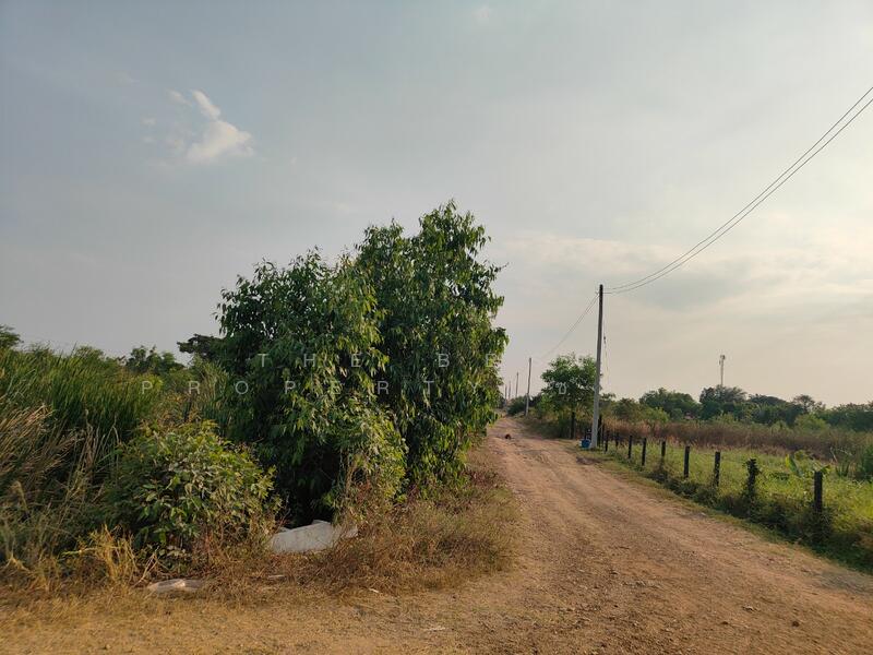 ขาย - บางคล้า, ฉะเชิงเทรา