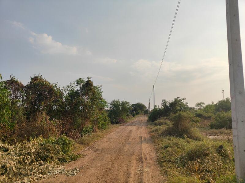 ขาย - บางคล้า, ฉะเชิงเทรา