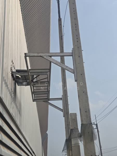 FACTORY / WAREHOUSE for RENT 3900-8000 SQ.M. | Bang Pakong, Chachoengsao, Chachoengsao, Tha Sa-an, Bang Pakong, Chachoengsao, , 3,900 sqm, Warehouse/Factory For Rent, by Patchalida Chanchaisiriwet, 500139229 - DDproperty.com