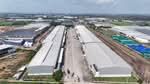 ให้เช่าโรงงาน คลังสินค้า 3900-8000 ตร.ม. | บางปะกง ฉะเชิงเทรา, ฉะเชิงเทรา