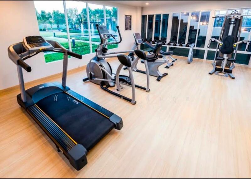 Baan Rim Suan Scenery Bangna : บ้านริมสวน ซีนเนอรี่ บางนา-สุวรรณภูมิ, สมุทรปราการ, 335/16 หมู่ 12, บางพลีใหญ่, บางพลี, สมุทรปราการ, 150 ตร.ม., บ้านเดี่ยว ให้เช่า, โดย นัทยาพร พึ่มกุล (เบนซ์), 500139233 - DDproperty.com