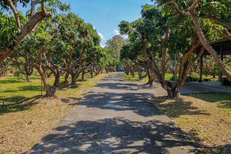 บ้านพักส่วนตัววิวภูเขา พร้อมสวนลำไย 84 ต้น ใกล้สนามกอล์ฟ, เชียงใหม่, เชียงใหม่, แม่แฝก, สันทราย, เชียงใหม่, 350 ตร.ม., บ้านเดี่ยว ขาย, โดย เอลียาห์ ริดจ์ลี่ย์, 500139349 - DDproperty.com