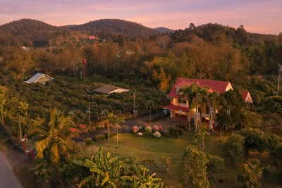 ขาย - บ้านพักส่วนตัววิวภูเขา พร้อมสวนลำไย 84 ต้น ใกล้สนามกอล์ฟ, เชียงใหม่, เชียงใหม่