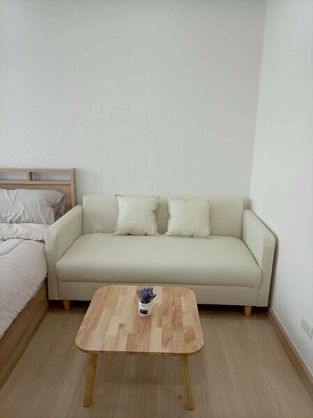 Supalai Veranda Ramkhamhaeng, Bangkok, Ramkhamhaeng Road, Hua Mak, Bang Kapi, Bangkok, Studio, 28 sqm, Condo For Rent, by CS Jiew, 500139375 - DDproperty.com