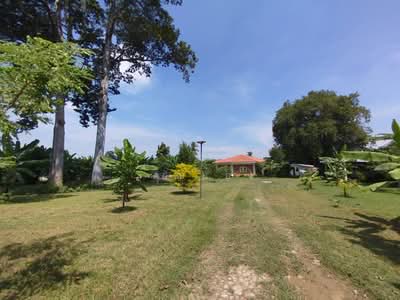 ขาย - ขายบ้านสวน​​ 2​ ไร่เศษ​ ไม่ไกลกรุงเทพ​ ติดถนน​ อยู่ในชุมชน​ ปลอดภัย​ พร้อม​เพื่อการอยู่อาศัย​, ราชบุรี