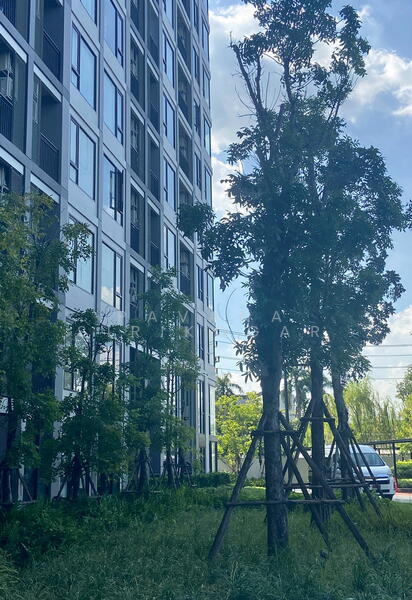 ให้เช่า - Skyrise Avenue Sukhumvit 64 : สกายไลน์ อเวนิว สุขุมวิท 64, กรุงเทพ