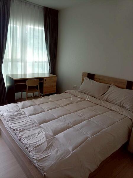 Supalai Veranda Ramkhamhaeng, Bangkok, Ramkhamhaeng Road, Hua Mak, Bang Kapi, Bangkok, Studio, 29 sqm, Condo For Rent, by CS Jiew, 500139565 - DDproperty.com