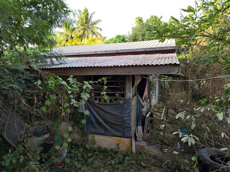 ขาย - บ้าน ร้านค้า ต.ท่าแดง อ.หนองไผ่ จ.เพชรบูรณ์, เพชรบูรณ์