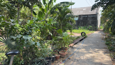 ขาย - ที่ดินท่ามะขาม กาญจนบุรี, กาญจนบุรี
