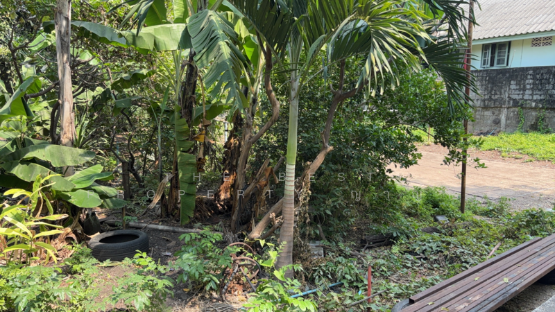 For Sale - ที่ดินท่ามะกา กาญจนบุรี, Kanchanaburi