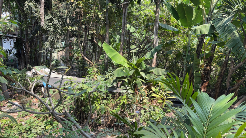 ที่ดินท่ามะขาม กาญจนบุรี, Kanchanaburi, Tha Ma Kham, Muang Kanchanaburi, Kanchanaburi, , 480 sqm, Land For Sale, by The Best Property แอ้, 500139648 - DDproperty.com