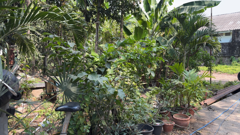 For Sale - ที่ดินท่ามะกา กาญจนบุรี, Kanchanaburi