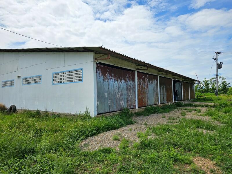 ขาย - โกดัง ต.วังธง อ.เมือง แพร่ 4.5 ไร่, แพร่