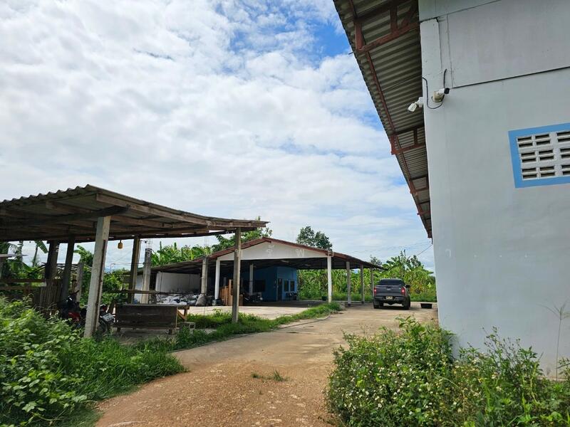 ขาย - โกดัง ต.วังธง อ.เมือง แพร่ 4.5 ไร่, แพร่