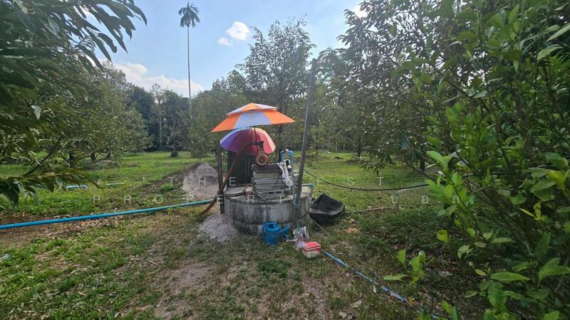 บ้านเดี่ยวพร้อมสิ่งปลูกสร้างแหลมสิงห์ จันทบุรี, จันทบุรี, พลิ้ว, แหลมสิงห์, จันทบุรี, 3,796 ตร.ม., ที่ดิน ขาย, โดย The Best Property บอล, 500139869 - DDproperty.com