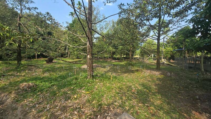 บ้านเดี่ยวพร้อมสิ่งปลูกสร้างแหลมสิงห์ จันทบุรี, จันทบุรี, พลิ้ว, แหลมสิงห์, จันทบุรี, 3,796 ตร.ม., ที่ดิน ขาย, โดย The Best Property บอล, 500139869 - DDproperty.com