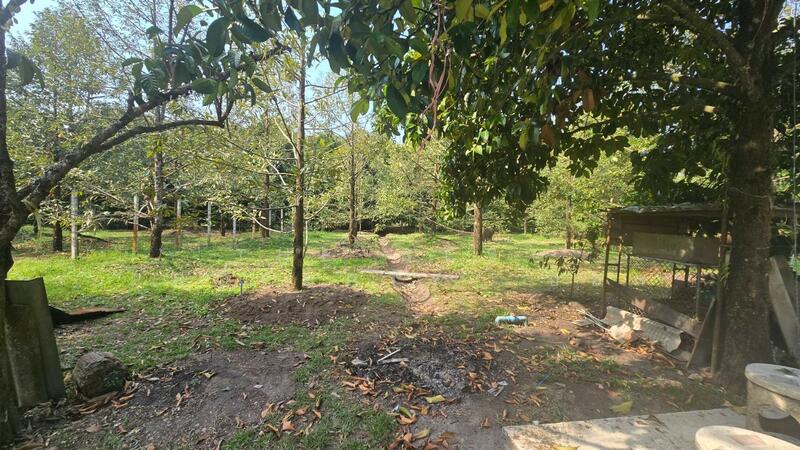 บ้านเดี่ยวพร้อมสิ่งปลูกสร้างแหลมสิงห์ จันทบุรี, จันทบุรี, พลิ้ว, แหลมสิงห์, จันทบุรี, 3,796 ตร.ม., ที่ดิน ขาย, โดย The Best Property บอล, 500139869 - DDproperty.com