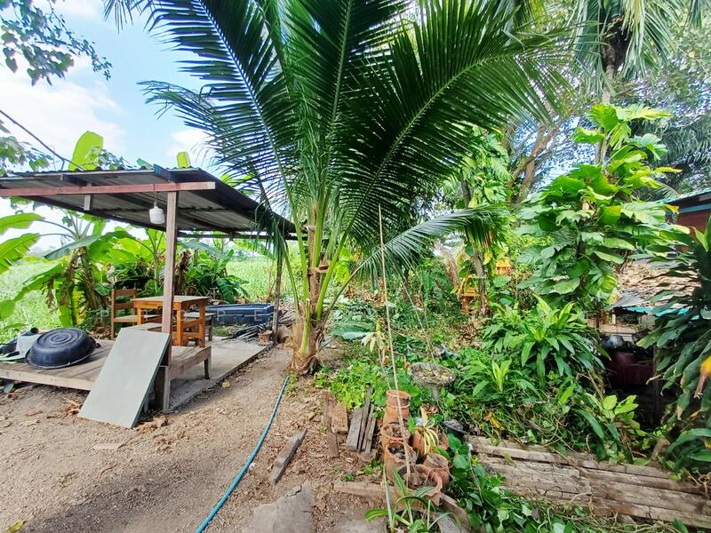 For Sale - บ้านเดี่ยวพร้อมที่ดินกระทุ่มแบน สมุทรสาคร, Samut Sakhon