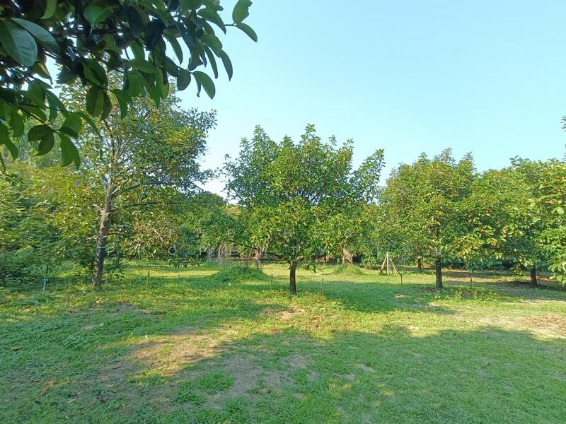 ที่ดินพลับพลา จันทบุรี, Chanthaburi, Phlapphla, Muang Chanthaburi, Chanthaburi, , 2,884 sqm, Land For Sale, by The Best Property ใหม่, 500140106 - DDproperty.com