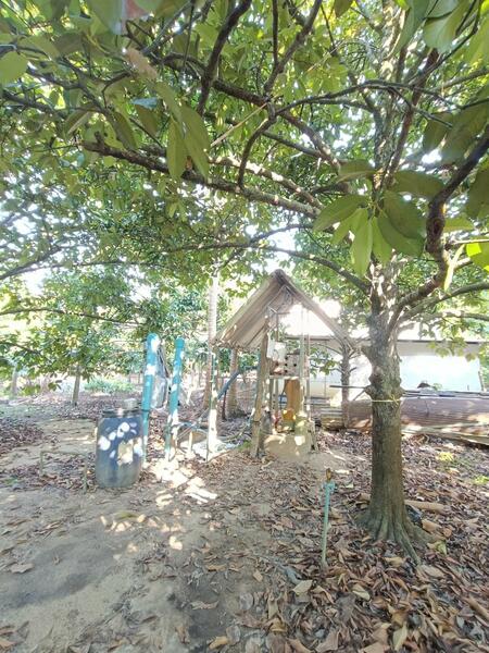 ที่ดินพลับพลา จันทบุรี, จันทบุรี, พลับพลา, เมืองจันทบุรี, จันทบุรี, 2,884 ตร.ม., ที่ดิน ขาย, โดย The Best Property ใหม่, 500140106 - DDproperty.com