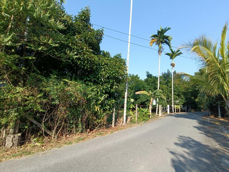 ที่ดินพลับพลา จันทบุรี, Chanthaburi, Phlapphla, Muang Chanthaburi, Chanthaburi, , 2,884 sqm, Land For Sale, by The Best Property ใหม่, 500140106 - DDproperty.com