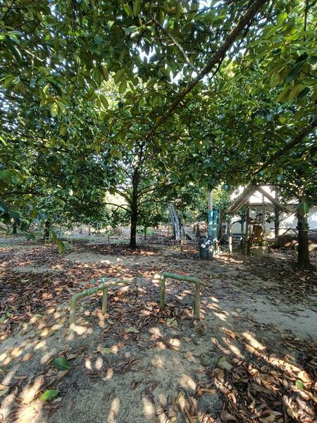 ที่ดินพลับพลา จันทบุรี, Chanthaburi, Phlapphla, Muang Chanthaburi, Chanthaburi, , 2,884 sqm, Land For Sale, by The Best Property ใหม่, 500140106 - DDproperty.com