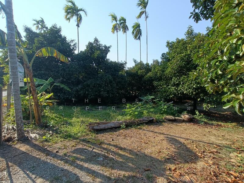 ที่ดินพลับพลา จันทบุรี, Chanthaburi, Phlapphla, Muang Chanthaburi, Chanthaburi, , 2,884 sqm, Land For Sale, by The Best Property ใหม่, 500140106 - DDproperty.com