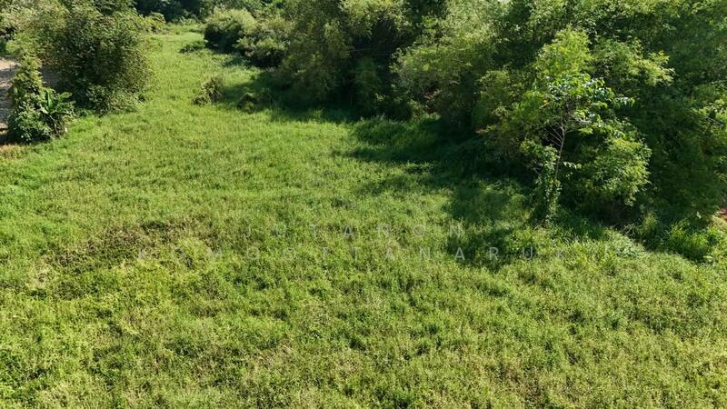 ขาย - ขายที่ดินเปล่า 4-2-50 ไร่ ทำเลศักยภาพ ติดคลองกระเฉท น้ำไหลตลอดปี ใกล้นิคมอุตสาหกรรม ต.มาบข่า ระยอง, ระยอง