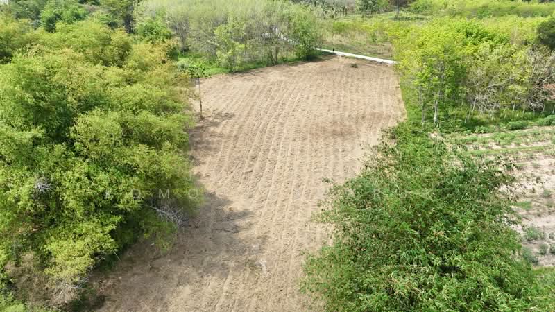 For Sale - ขายที่ดินเปล่า 4-2-50 ไร่ ทำเลศักยภาพ ติดคลองกระเฉท น้ำไหลตลอดปี ใกล้นิคมอุตสาหกรรม ต.มาบข่า ระยอง, Rayong