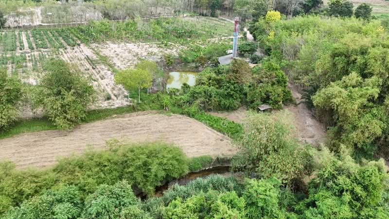 ขาย - ขายที่ดินเปล่า 4-2-50 ไร่ ทำเลศักยภาพ ติดคลองกระเฉท น้ำไหลตลอดปี ใกล้นิคมอุตสาหกรรม ต.มาบข่า ระยอง, ระยอง