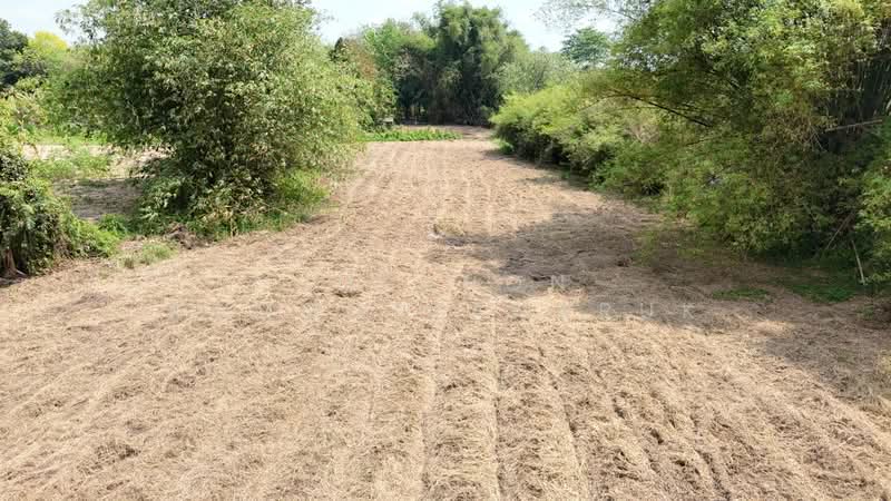 ขาย - ขายที่ดินเปล่า 4-2-50 ไร่ ทำเลศักยภาพ ติดคลองกระเฉท น้ำไหลตลอดปี ใกล้นิคมอุตสาหกรรม ต.มาบข่า ระยอง, ระยอง