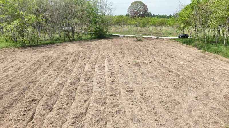 ขาย - ขายที่ดินเปล่า 4-2-50 ไร่ ทำเลศักยภาพ ติดคลองกระเฉท น้ำไหลตลอดปี ใกล้นิคมอุตสาหกรรม ต.มาบข่า ระยอง, ระยอง