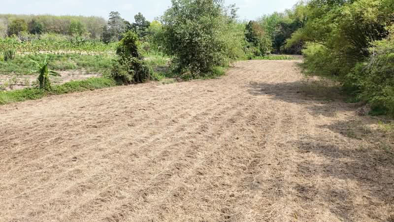 ขายที่ดินระยอง ติดคลองกระเฉท 4-2-50 ไร่ ทำเลทอง ผังสีส้ม ใกล้นิคมอุตสาหกรรมมาบข่า ราคาดีที่สุด, Rayong, Mapkha, Nikhom Pattana, Rayong, , 7,400 sqm, Land For Sale, by Jutanon Komoottanaruk, 500140515 - DDproperty.com