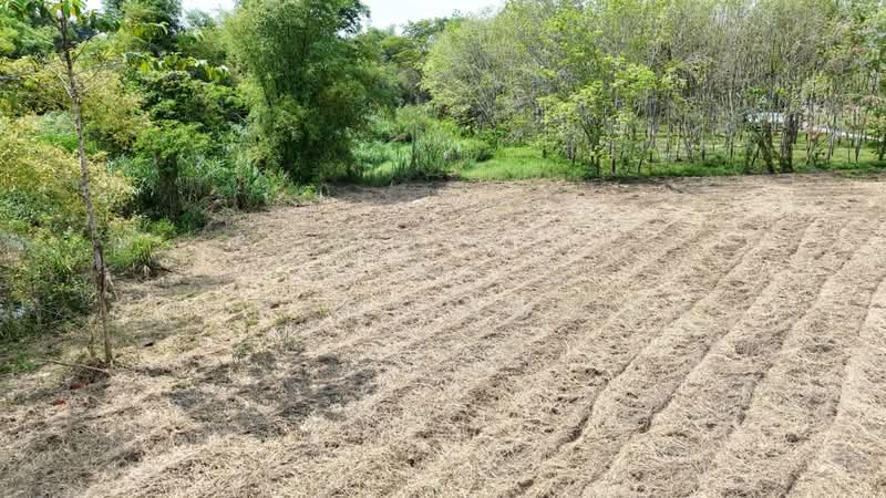 For Sale - ขายที่ดินเปล่า 4-2-50 ไร่ ทำเลศักยภาพ ติดคลองกระเฉท น้ำไหลตลอดปี ใกล้นิคมอุตสาหกรรม ต.มาบข่า ระยอง, Rayong