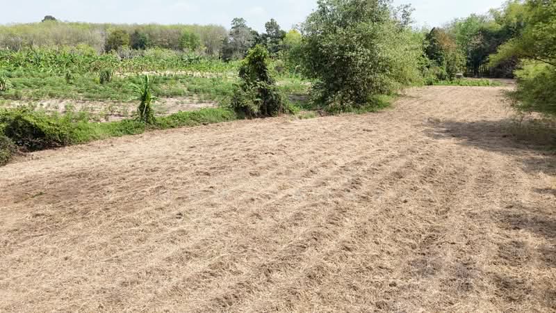 ขาย - ขายที่ดินเปล่า 4-2-50 ไร่ ทำเลศักยภาพ ติดคลองกระเฉท น้ำไหลตลอดปี ใกล้นิคมอุตสาหกรรม ต.มาบข่า ระยอง, ระยอง