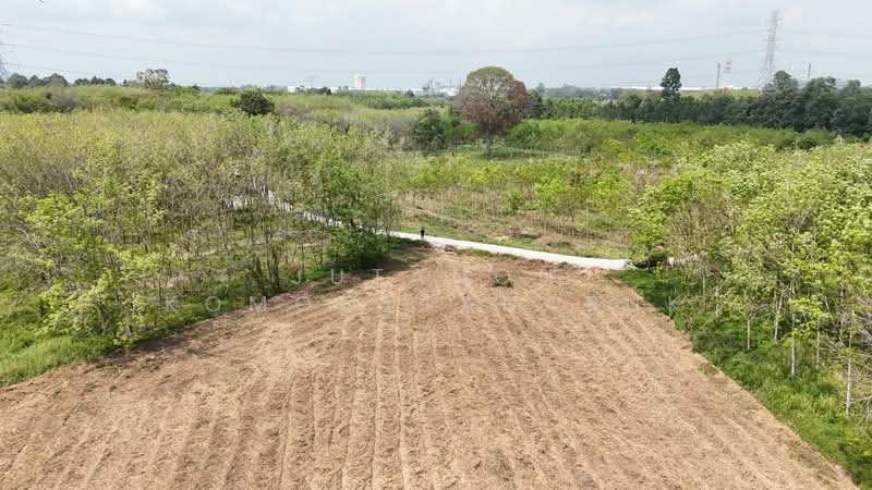 ขายที่ดินระยอง ติดคลองกระเฉท 4-2-50 ไร่ ทำเลทอง ผังสีส้ม ใกล้นิคมอุตสาหกรรมมาบข่า ราคาดีที่สุด, Rayong, Mapkha, Nikhom Pattana, Rayong, , 7,400 sqm, Land For Sale, by Jutanon Komoottanaruk, 500140515 - DDproperty.com