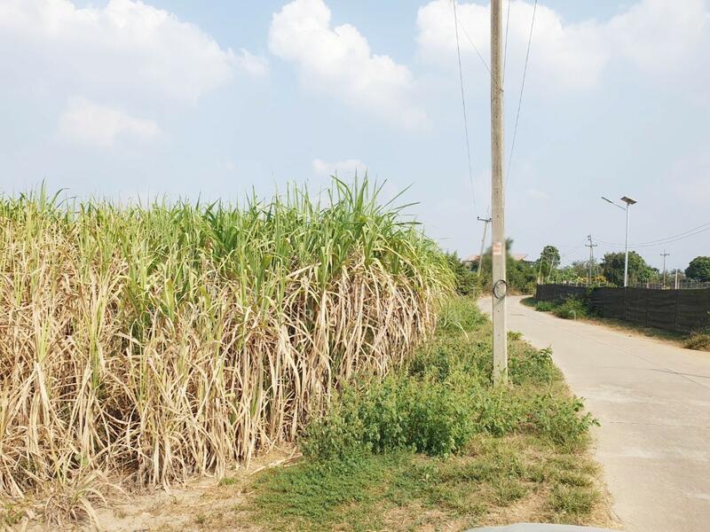 ขาย - ที่ดินวังด้ง กาญจนบุรี, กาญจนบุรี